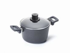 WOLL Titanium Nowo Induction Gusstopf mit Glasdeckel � 20 cm INDUKTION