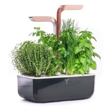 Veritable SMART Zimmergarten Kupfer