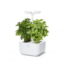 Exky CLASSIC Zimmergarten wei�