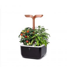 Exky SMART Zimmergarten Kupfer