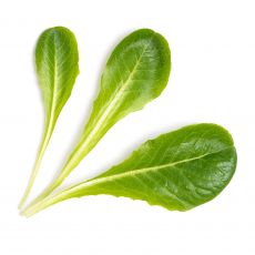 Veritable Lingot R�mersalat BIO
