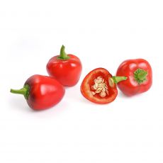 Veritable Lingot rote Mini-Paprika