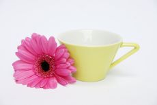Lilien-Porzellan Daisy Espressotasse 10 Vanille