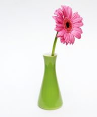 Lilien-Porzellan Daisy Vase Olive
