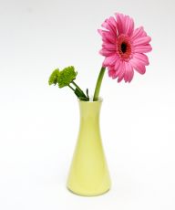 Lilien-Porzellan Daisy Vase Vanille