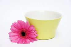 Lilien-Porzellan Daisy Zuckerschale Vanille