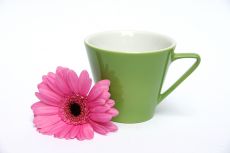 Lilien-Porzellan Daisy Kaffeetasse hoch 18 Olive