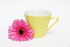 Lilien-Porzellan Daisy Kaffeetasse hoch 18 Vanille