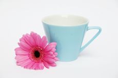 Lilien-Porzellan Daisy Kaffeetasse hoch 18 Lasurblau