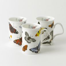 Roy Kirkham BUTTERFLY GARDEN Kaffeebecher 3er Set