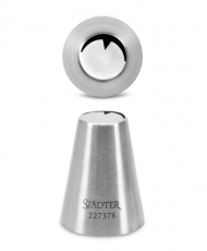 St�dter Chrysanthement�lle / Blattt�lle