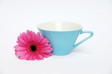 Lilien-Porzellan Daisy Teetasse 18 Lasurblau