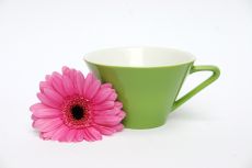 Lilien-Porzellan Daisy Teetasse Gro� 20 Olive