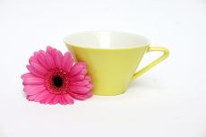Lilien-Porzellan Daisy Teetasse Gro� 20 Vanille