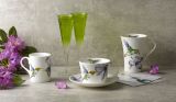 Roy Kirkham Jumbotasse + Untertasse HUMMINGBIRD