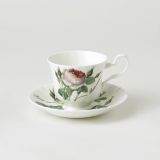 Roy Kirkham REDOUTE ROSE Teetasse mit Untertasse