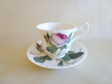 Roy Kirkham REDOUTE ROSE Teetasse mit Untertasse