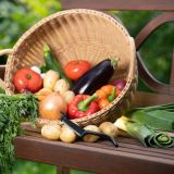 Westmark Buntschneider Garnetta