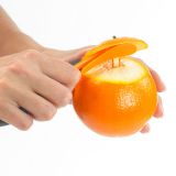 Lurch Orangensch�ler