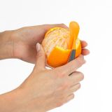 Lurch Orangensch�ler