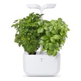 Exky CLASSIC Zimmergarten wei�