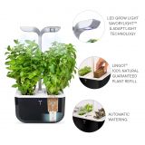 Exky SMART Zimmergarten Soft Black