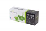 Veritable Lingot Petersilie glatt BIO