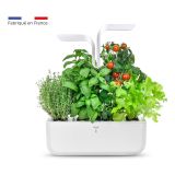 Veritable Lingot Cayenne-Pfeffer BIO