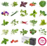 Veritable Lingot Cayenne-Pfeffer BIO