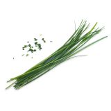 Veritable Lingot Schnittknoblauch BIO