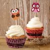 Birkmann CupCake Deco-Set Eulen 36-tlg.