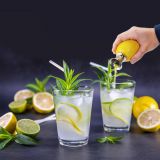 Westmark Zitronenausgie�er Zitronensaft-Ausgie�er