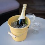 Riess Allzweckeimer mit Deckel 3,5l - nature green dark