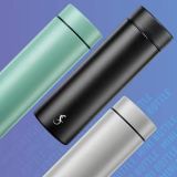 Lurch Isolier-Mini-Bottle 0,3l dark salvia