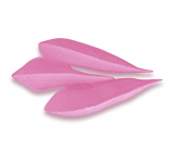 St�dter St. Honor�t�lle