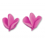 St�dter Rosent�lle gerade gro�