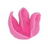 St�dter Rosent�lle geschwungen - 2 Gr��en