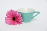 Lilien-Porzellan Daisy Espressotasse 10 Aquamarin