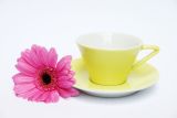 Lilien-Porzellan Daisy Espressotasse 10 Vanille