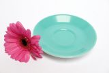 Lilien-Porzellan Daisy Espresso-Untertasse 12cm Aquamarin