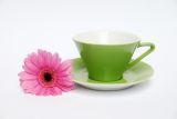 Lilien-Porzellan Daisy Teetasse 18 Olive