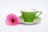 Lilien-Porzellan Daisy Kaffee-Untertasse 15cm Olive