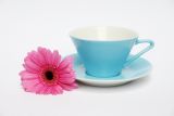Lilien-Porzellan Daisy Kaffee-Untertasse 15cm Lasurblau