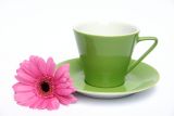 Lilien-Porzellan Daisy Kaffeetasse hoch 18 Olive