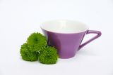 Lilien-Porzellan Daisy Espressotasse 10 Violett