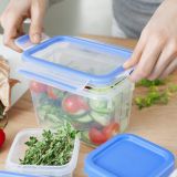 Emsa 1,0L CLIP & CLOSE Frischhaltedose  mit 2 Eins�tzen