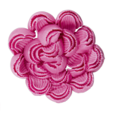 St�dter Chrysanthement�lle gezackt