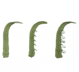 St�dter Halbrundt�lle klein - 2 Gr��en