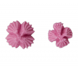 St�dter Nelkent�lle gezackt