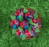 St�dter Tulpent�lle 5 Bl�tter